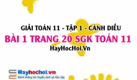 Giải bài 1 trang 20 Toán 11 tập 1 SGK Cánh Diều